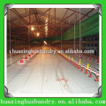 best selling broiler and breeder use poultry farm house